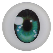 Load image into Gallery viewer, Doll House 168 - Eyes (extras)